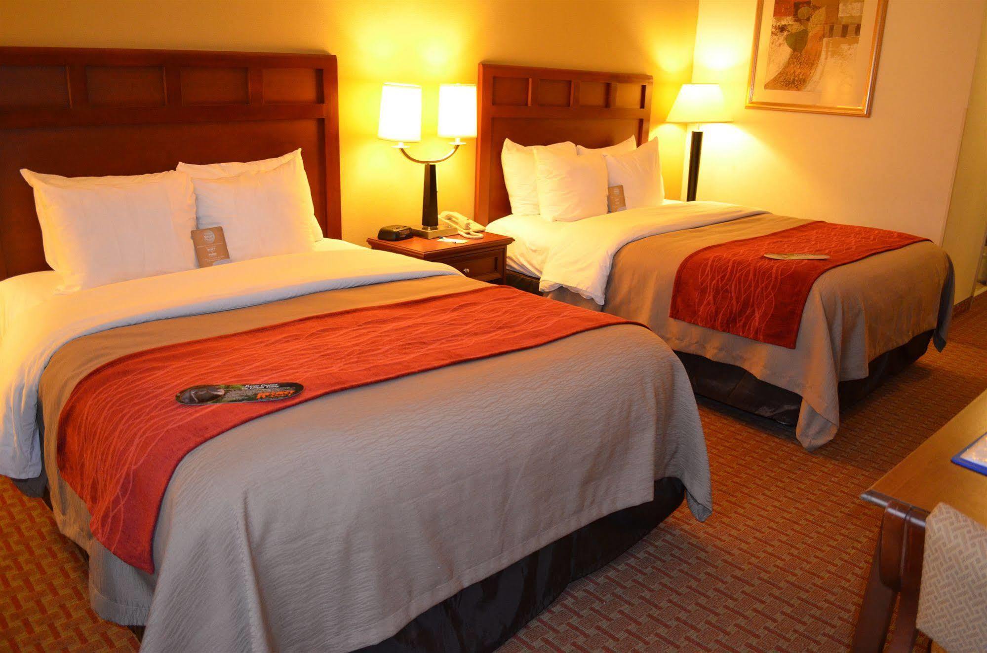 Comfort Inn Columbus Near Fort Benning Buitenkant foto
